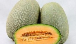 茄子与哈密瓜能一起吃吗,探究能否同食的健康之谜