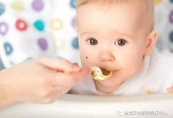 不吃奶吃瓜,告别奶瓶，拥抱美味新篇章