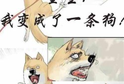 吃瓜变强小说全文阅读,从瓜田到巅峰的奇幻之旅