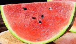 西北锤王吃瓜,揭秘娱乐圈幕后风云