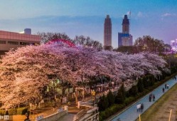 抖音最新吃瓜喷泉,吃瓜喷泉，趣味横生的互动盛宴