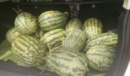 吃瓜每日搬,娱乐圈最新动态大盘点