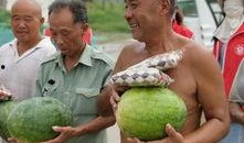 安阳工吃瓜,揭秘校园里的欢乐时光