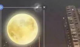 大月亮晚上吃瓜,瓜香四溢的夜晚盛宴