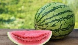 周瓜皮在线吃瓜,周瓜皮带你领略网络吃瓜文化盛宴