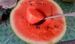 吃隔壁的瓜,一场邻里间的趣味窥探