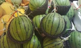 顶流吃瓜2,娱乐圈风云再起，揭秘明星背后的秘密