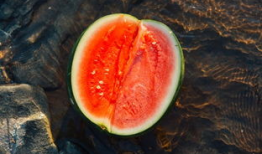 花虚坞吃瓜,揭秘娱乐圈的甜蜜与苦涩