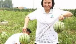 吃瓜群众陈盈盈,揭秘吃瓜群众的娱乐生活与内心世界