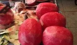 带你吃瓜搞笑招牌,揭秘搞笑招牌背后的趣味故事