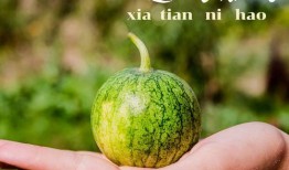 小涵专业吃瓜,揭秘娱乐圈那些不为人知的幕后故事