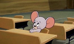 自由吃瓜基地 保护,网络舆论的自由乐园与责任边界