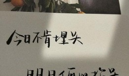 吃瓜吃净文案短句子图片,净享时光——吃瓜吃净文案短句图鉴