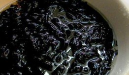 紫菜能和土瓜一起吃吗,紫菜与土瓜的搭配食用探讨