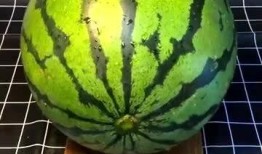 摩刀吃瓜,揭秘网络热点的幕后故事