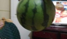 盐城最新吃瓜事件,真相竟如此反转！