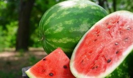 吃瓜怎么播放不了,揭秘播放难题背后的技术迷雾