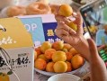 新疆近期吃瓜事件,揭秘背后的甜蜜与争议