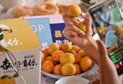 新疆近期吃瓜事件,揭秘背后的甜蜜与争议