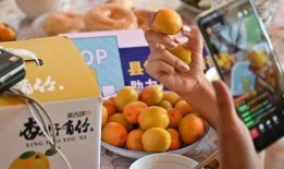 新疆近期吃瓜事件,揭秘背后的甜蜜与争议