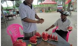 365吃瓜部落,揭秘娱乐圈那些不为人知的幕后故事