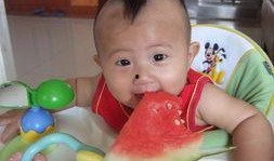 豆豆吃瓜啥意思,揭秘网络流行语的趣味与内涵