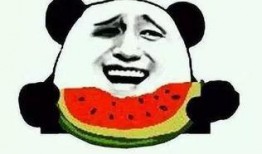 没感情吃瓜群众