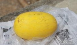 隔夜黄皮瓜可以吃吗,安全食用指南解析