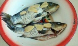 吃瓜鱼女,揭秘校园里的“瓜田”趣事