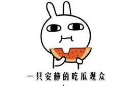 吃瓜的真正含义,网络热词背后的真实含义