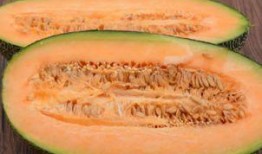 阳泉新鲜哈密瓜推荐吃,新鲜哈密瓜，尽享甘甜滋味