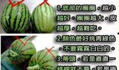 西沙瓜怎么切块吃,夏日清凉解渴的完美选择