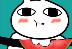 吃瓜吃撑表情包,笑翻朋友圈的年度表情包大盘点