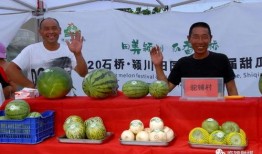 临颍 吃瓜,瓜田里的欢乐时光