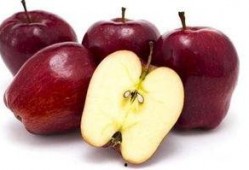 孕妇能否吃籽瓜,籽瓜——孕妇的滋补佳品