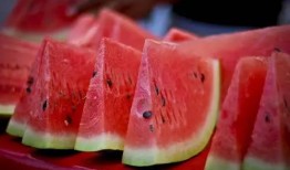 海口动物医院吃瓜,吃瓜群众见证宠物医疗新风尚