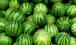 夏天吃瓜有哪些食物,夏日吃瓜美食大盘点
