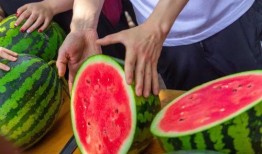 云南学院吃瓜,吃瓜群众揭秘校园美食风云