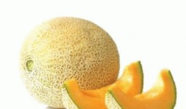 初孕可以吃哈密瓜吗,哈密瓜，孕期美味的选择