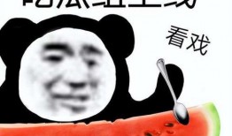 吃瓜黑网回家,揭秘网络背后的秘密与回家之路