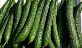 减肥打卡吃瓜,吃瓜也能瘦，揭秘健康瘦身新潮流