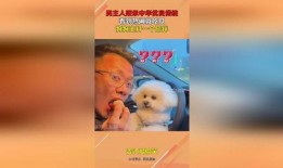 狗狗吃瓜看热闹配音,萌态配音笑翻天