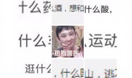 网传狗子吃瓜视频,狗狗意外成“吃瓜群众”