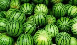 吃瓜群取名,揭秘吃瓜群里的欢乐时光