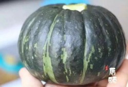 辰辰吃瓜,揭秘娱乐圈那些不为人知的幕后故事