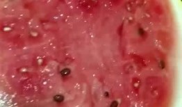 女友吃瓜说明很甜,女友的甜蜜吃瓜体验分享