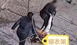 劳埃德吃瓜被拖走,一场意外引发的舆论风暴