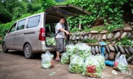 吃瓜四川雅安,瓜果飘香，品味独特美食之旅