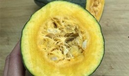 吃瓜无骨家族,一场跨越时代的美食传奇