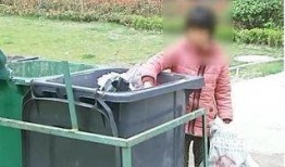 捡垃圾吃瓜,探寻城市边缘的生存智慧